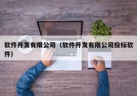 软件开发有限公司（软件开发有限公司投标软件）