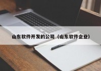 山东软件开发的公司（山东软件企业）