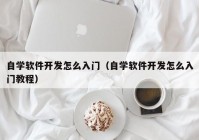 自学软件开发怎么入门（自学软件开发怎么入门教程）