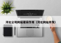 河北公司网站建设作用（河北网站开发）